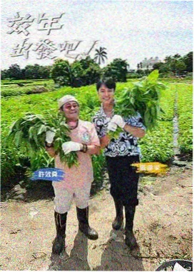 读者晚班交易员头像